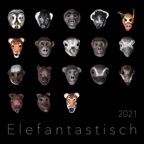 Elefantastisch lernen.jpeg