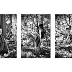 11 documentary project photography.jpeg