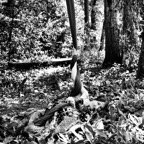 12 documentary project photography.jpeg