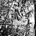 17 documentary project photography.jpeg
