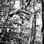 18 documentary project photography.jpeg